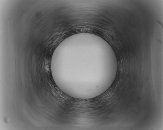 X0000099950962200805230958