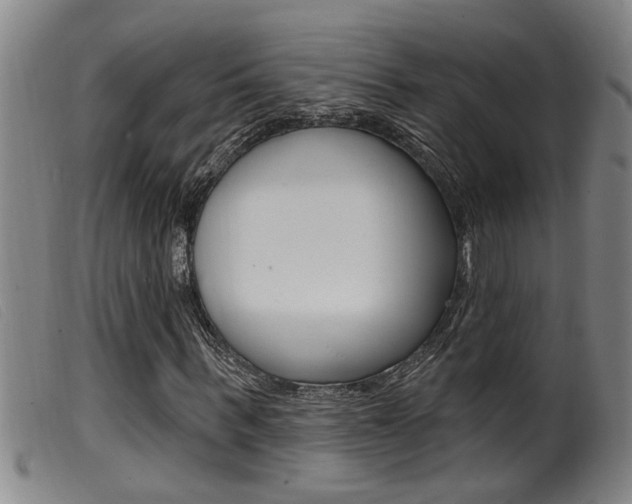 X0000099950963200805230957