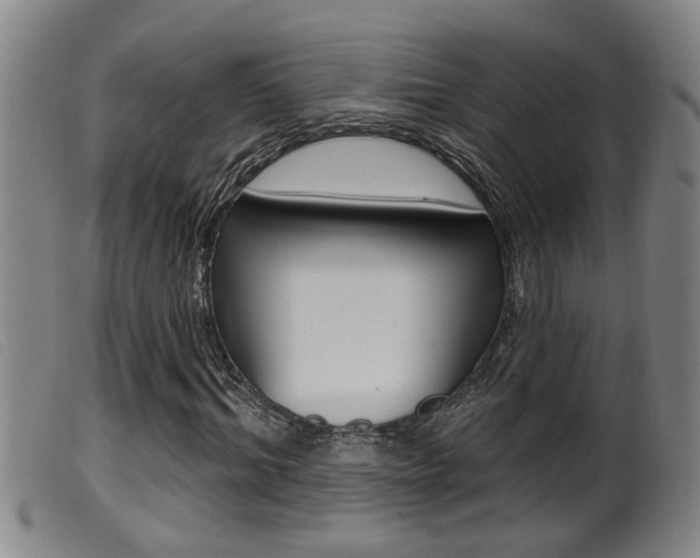 X0000099950964200805230957