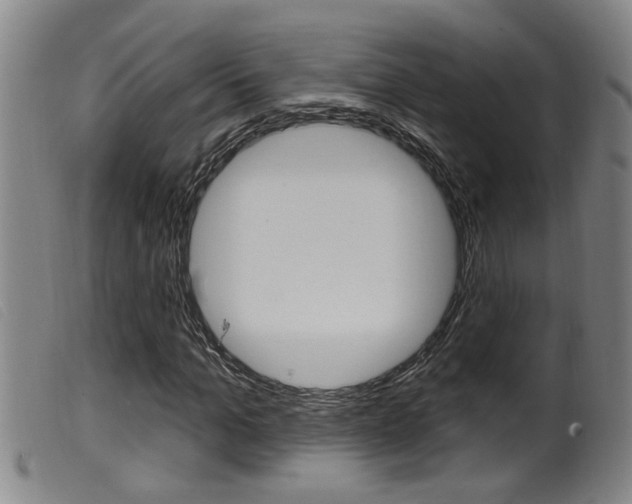 X0000099950965200805230957