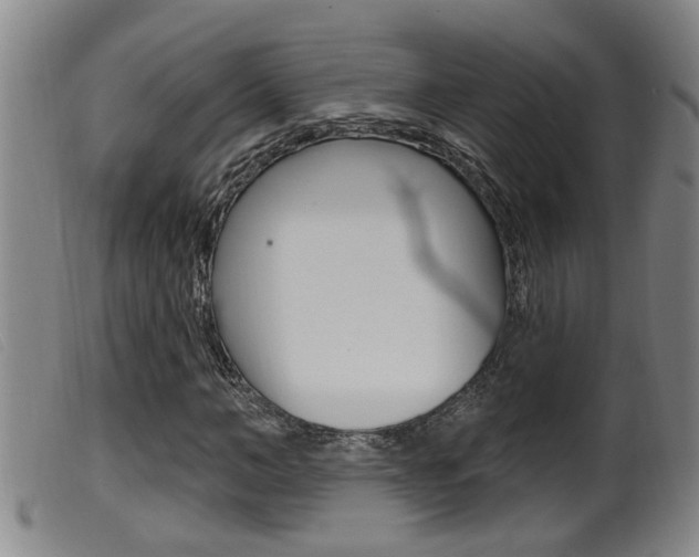 X0000099950966200805230957