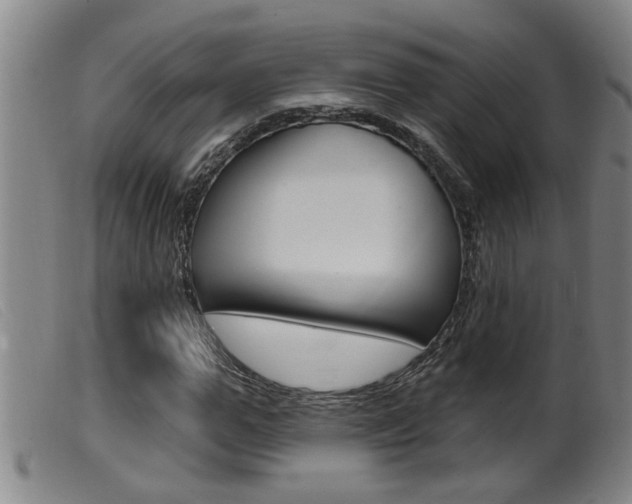 X0000099950967200805230957