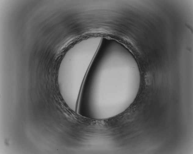 X0000099950968200805230957