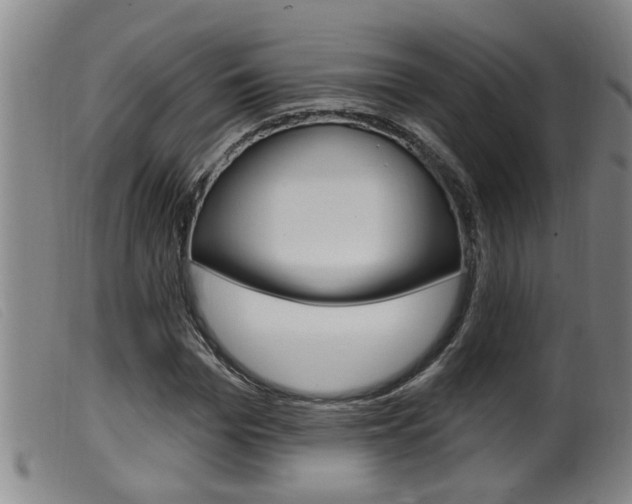 X0000099950969200805230957