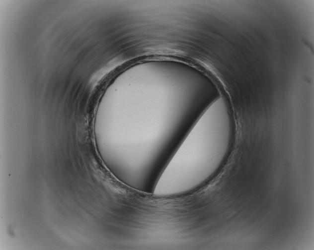 X0000099950971200805230957
