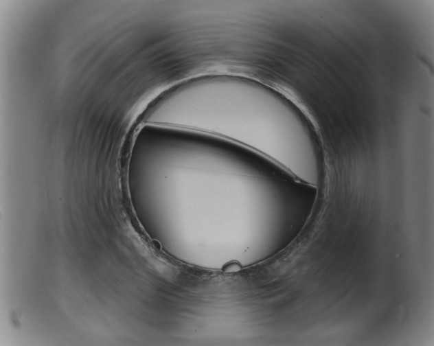X0000099950972200805230957