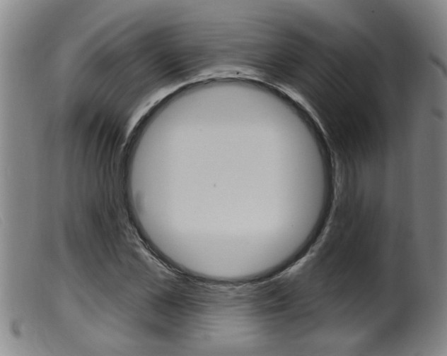 X0000099950973200805230957