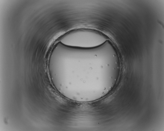 X0000099950974200805230957