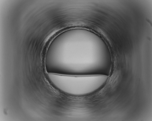 X0000099950975200805230957