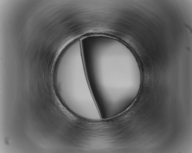 X0000099950976200805230957