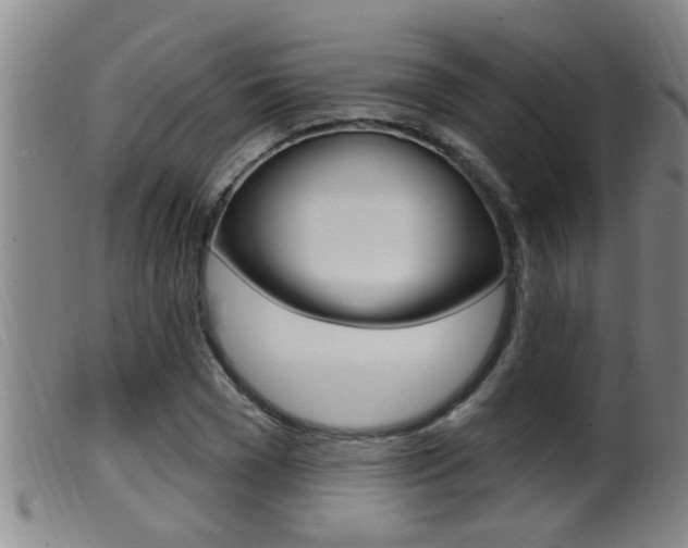 X0000099950977200805230957