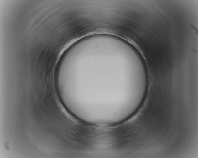 X0000099950981200805230957