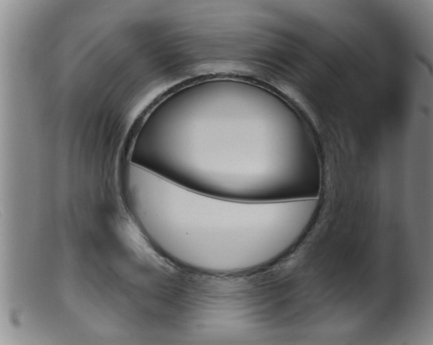 X0000099950983200805230957