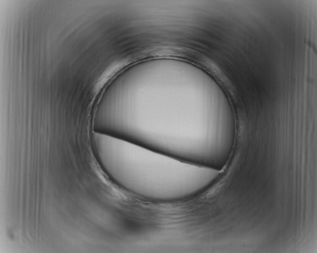 X0000099950986200805230957