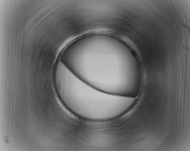 X0000099950989200805230957