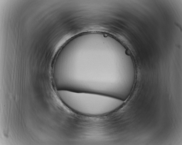 X0000099950990200805230957