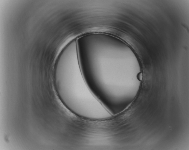 X0000099950992200805230957