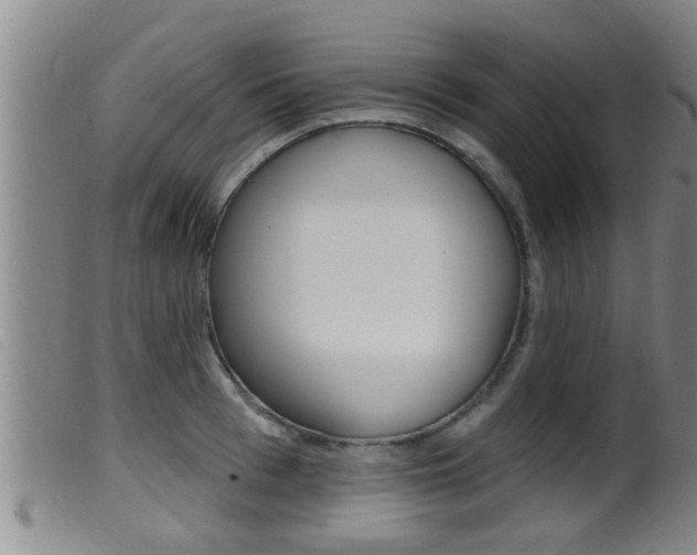 X0000099950993200805230957