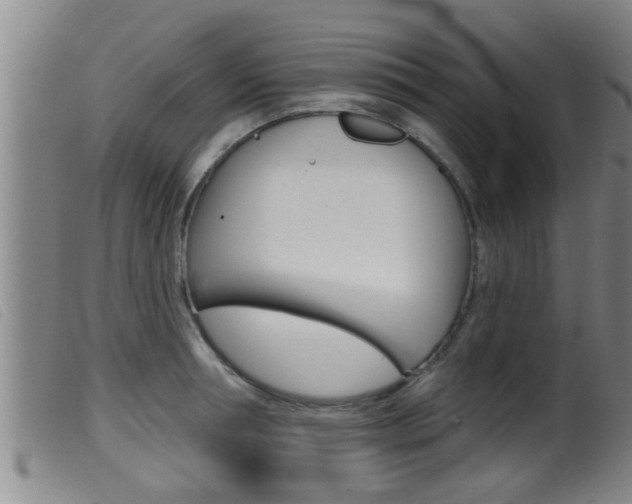 X0000099950994200805230957