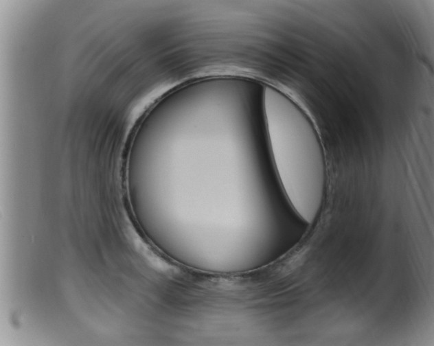 X0000099950995200805230957