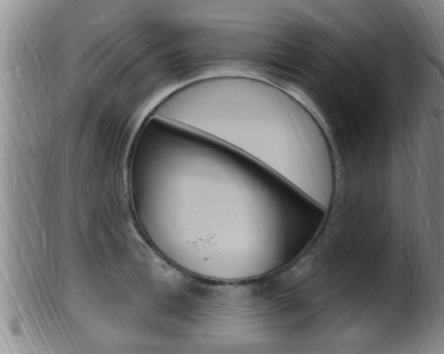 X0000099950996200805230957