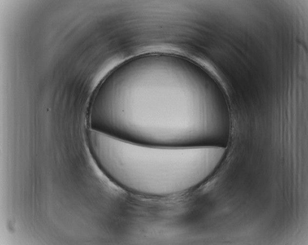 X0000099950999200805230957