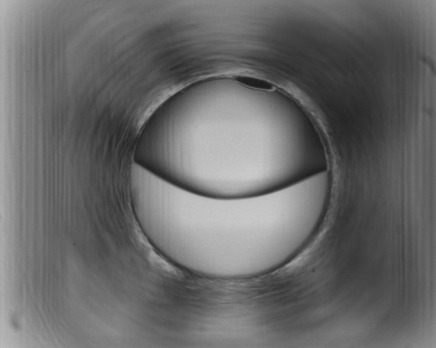 X0000099951001200805230957