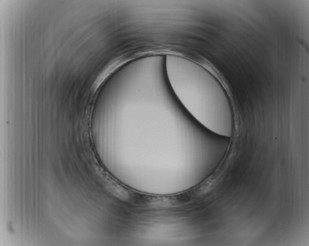 X0000099951002200805230957