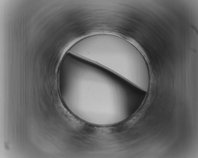X0000099951004200805230957