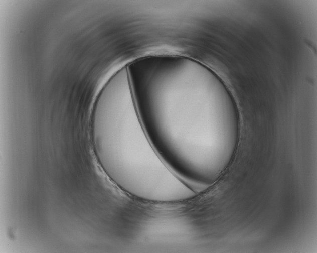 X0000099951008200805230957