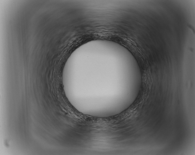X0000099951009200805230956