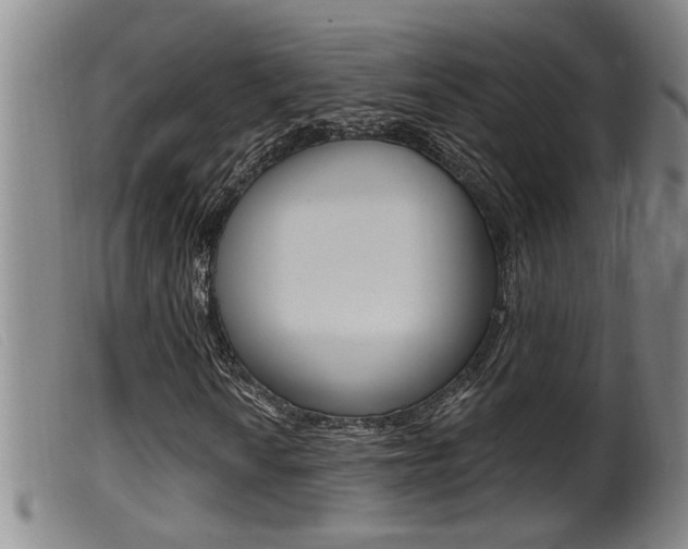 X0000099951010200805230956