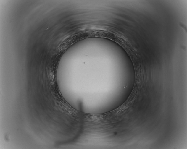 X0000099951013200805230956