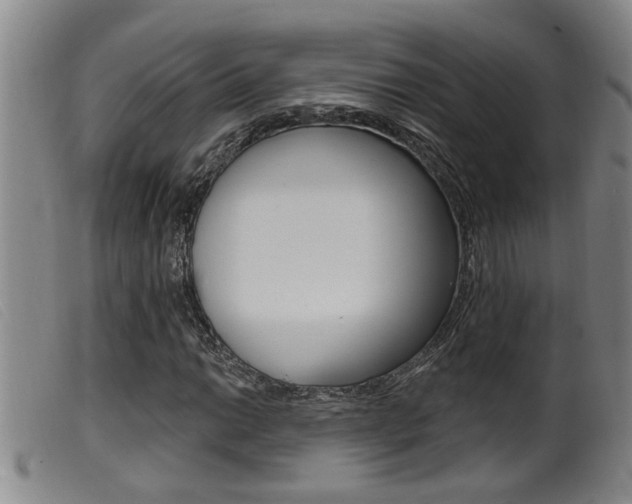 X0000099951014200805230956