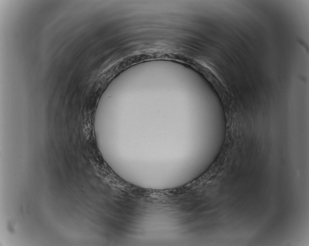 X0000099951015200805230956