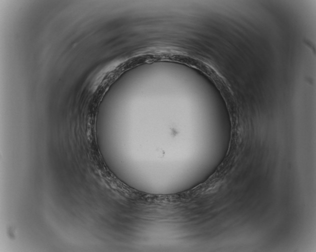 X0000099951016200805230956