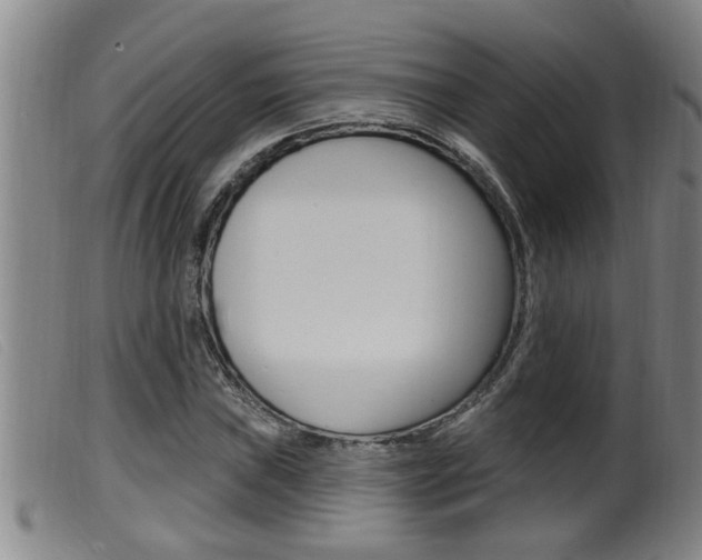 X0000099951019200805230956