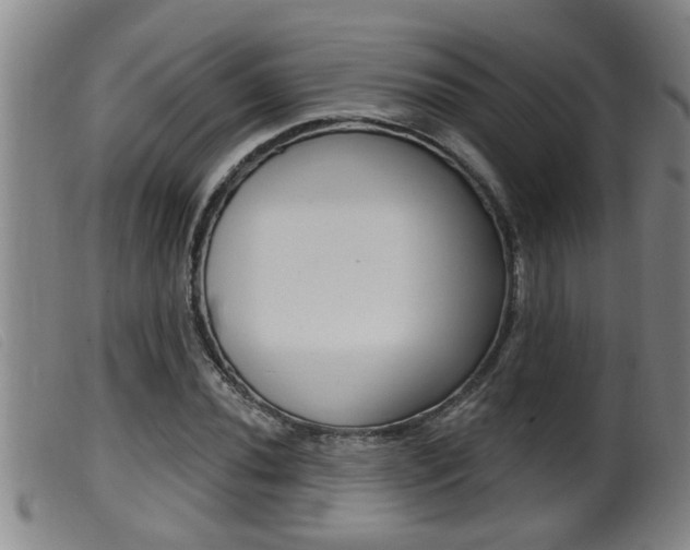 X0000099951020200805230956