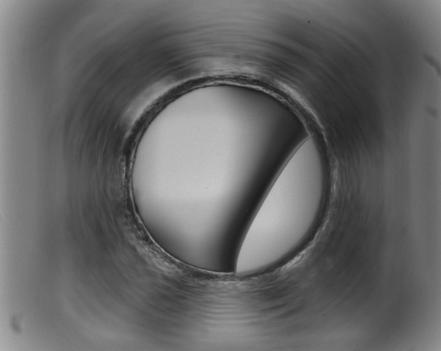 X0000099951021200805230956