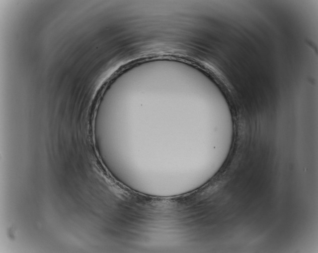 X0000099951023200805230956