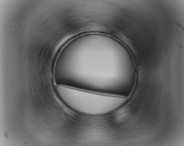 X0000099951024200805230956