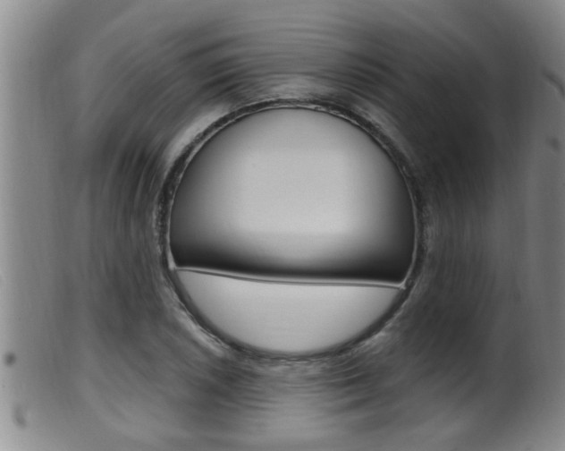 X0000099951026200805230956