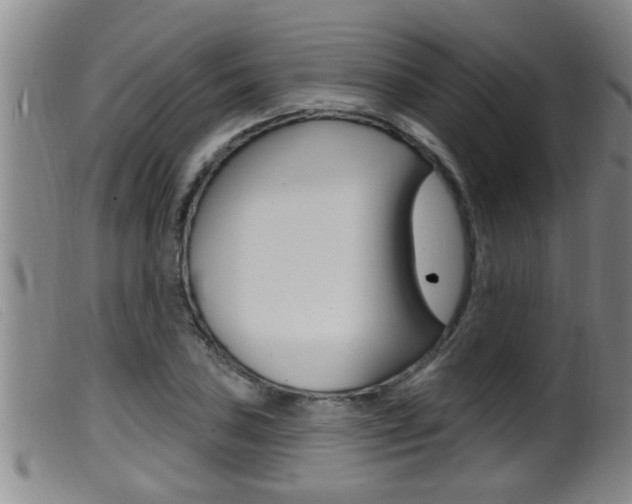 X0000099951027200805230956