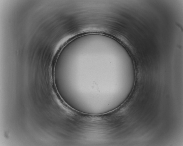 X0000099951030200805230956