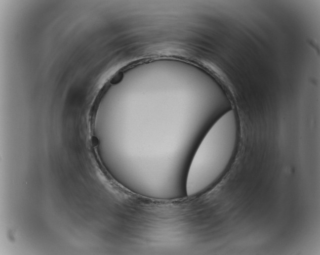 X0000099951031200805230956