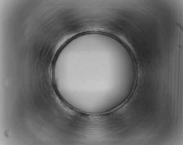 X0000099951032200805230956