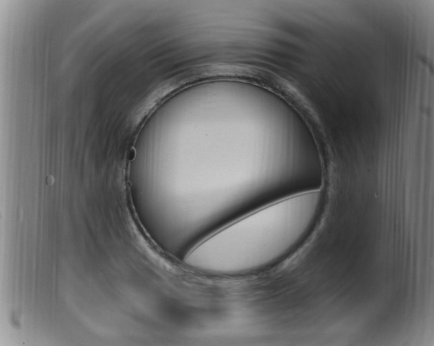 X0000099951033200805230956