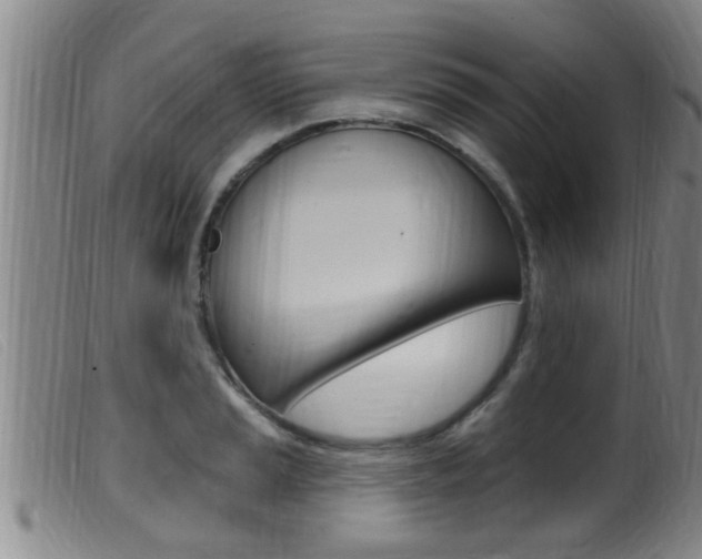 X0000099951037200805230957
