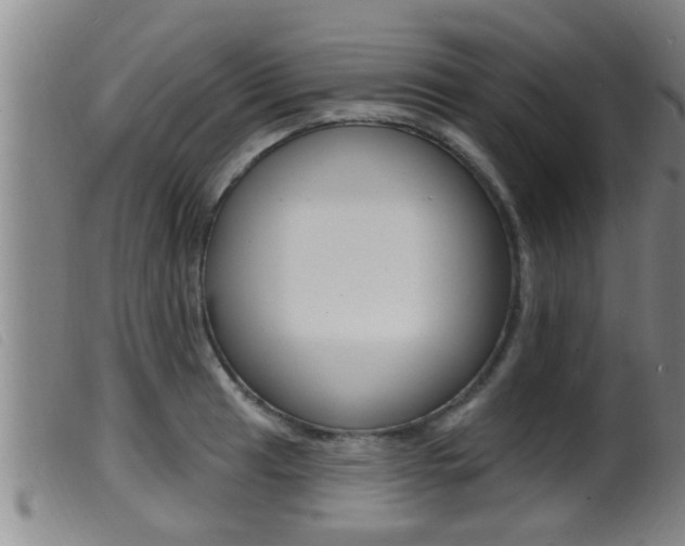X0000099951041200805230957