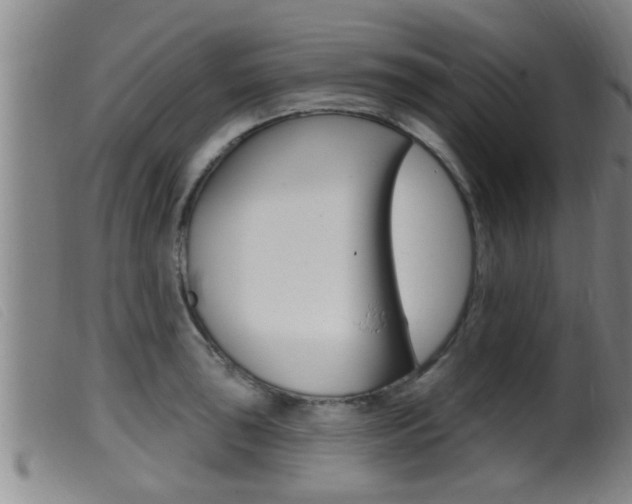 X0000099951043200805230957